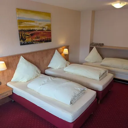 Hotel Stadthotel 3*