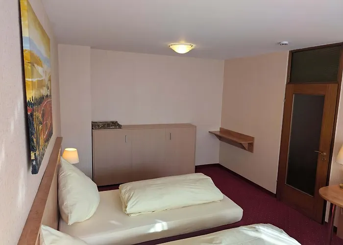 Stadthotel Otel 3*